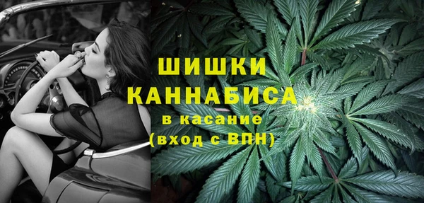 гидра Надым