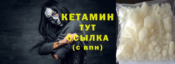 гидра Надым
