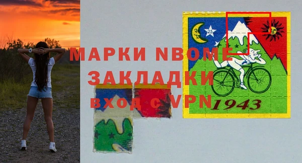 гидра Надым