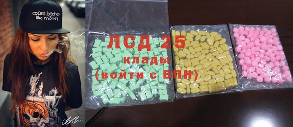 гидра Надым