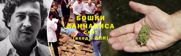 гидра Надым